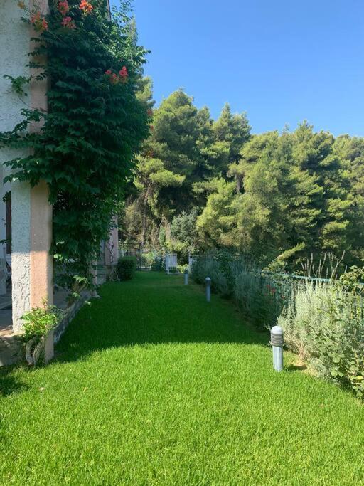 Ferienwohnung Amfiteatrico Sea View - Kalamos Attiki Markopoulon Oropou Exterior foto